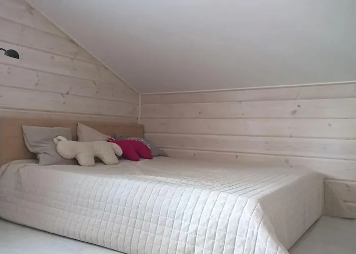 别墅 Omakotitalo Vierumaeellae X A House Near Vierumaeki Sports Center